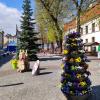 , marian