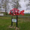 Karp nr 3 . Muzeum Bombek w Miliczu, marian