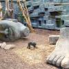 Orientarium w łódzkim zoo