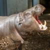 Zoo Łódź