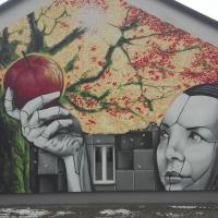 , mirosław