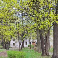 Pałac, marian