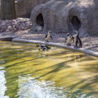 Zoo Łódź