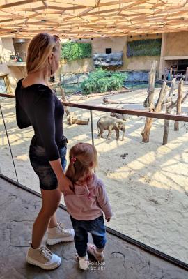 Orientarium w łódzkim zoo