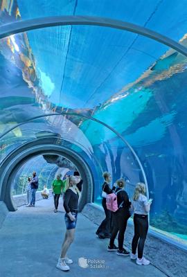 Orientarium w łódzkim zoo