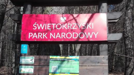 , mirosław