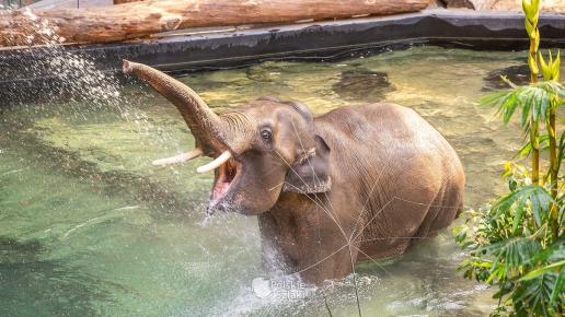 Orientarium w łódzkim zoo