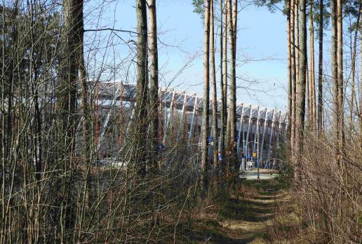 Las Solnicki - w tle Stadion Miejski, Joanna