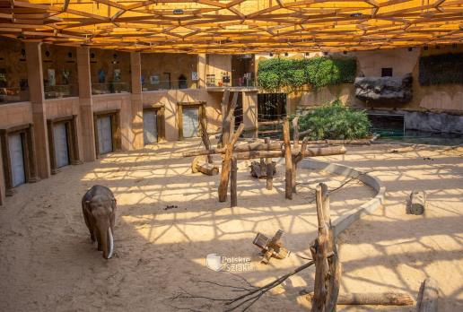 Orientarium w łódzkim zoo