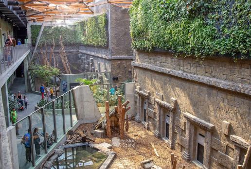 Orientarium w łódzkim zoo
