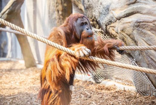 Orientarium w łódzkim zoo