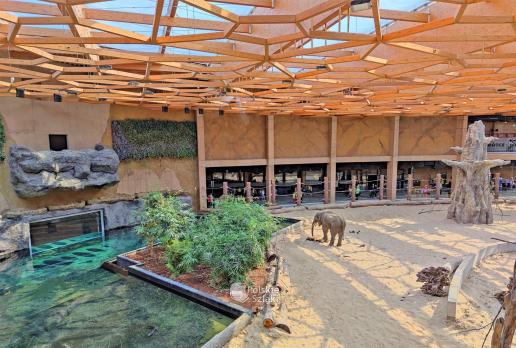 Orientarium w łódzkim zoo