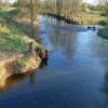 , Mariusz