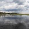 Narew koło Puchłów, Joanna