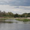 Narew koło Puchłów, Joanna