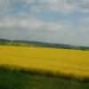 w trasie, mirosław