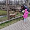, marian