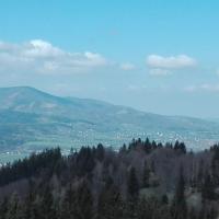 , mirosław