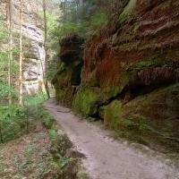 czeska szwajcaria, mirosław