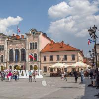 Rynek