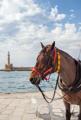 Chania