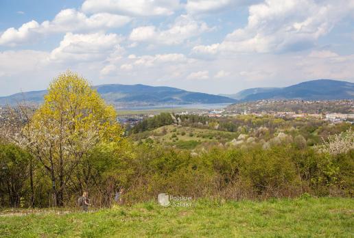 Żywiec z Grojca Średniego