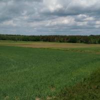 , mirosław