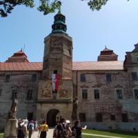 , mirosław