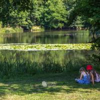 Park w Rudach