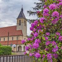 Zagwiździe