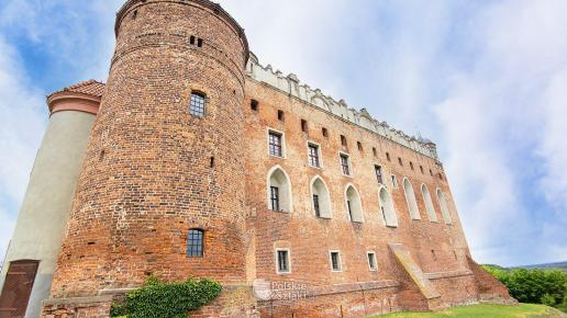 Zamek Golub Dobrzyń