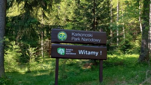 , mirosław