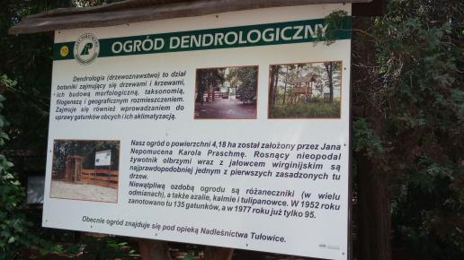 , mirosław