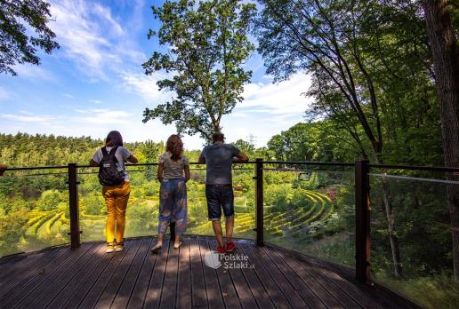 Platforma widokowa w Arboretum