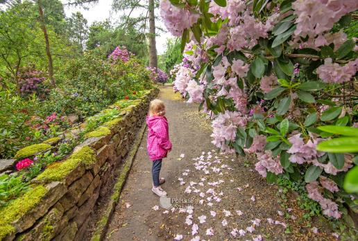Ogród Botaniczny Zagwiździe