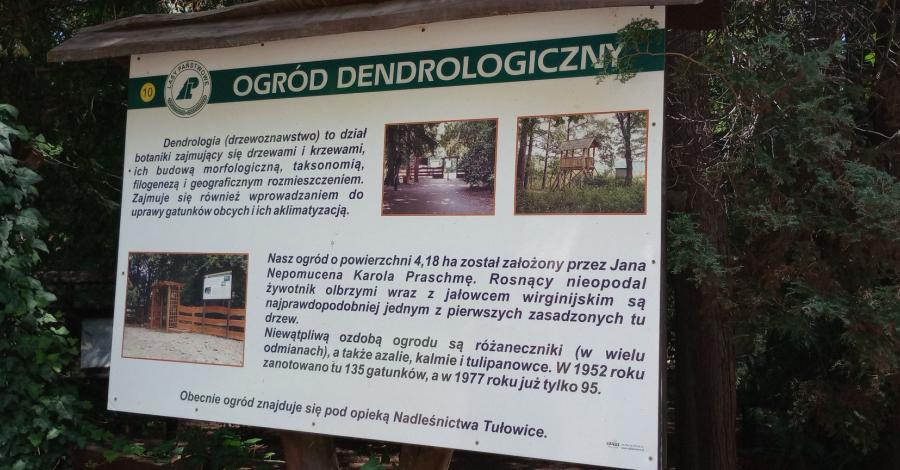Arboretum w Lipnie+Niemodlin - zdjęcie