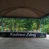 , mirosław