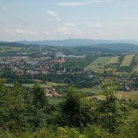 , mirosław