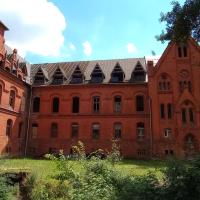 , mirosław