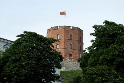 Wilno - baszta Gedymina, Joanna