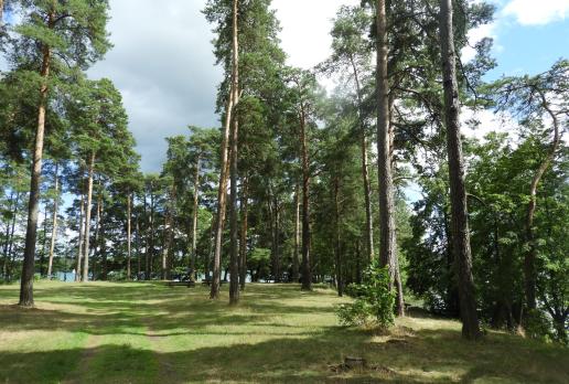 półwysep Ostry Róg, Joanna
