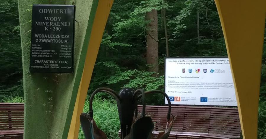 Kudowa zdrój,Skalene grzyby,Radkowskie skały,Wambierzyce - zdjęcie