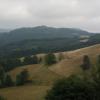 , mirosław
