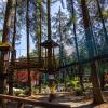 Park Aktywności Czarodziejska Góra