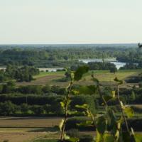 Janowiec - widok na dolinę Wisły, Joanna