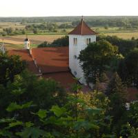Janowiec - widok z zamku na kościół, Joanna