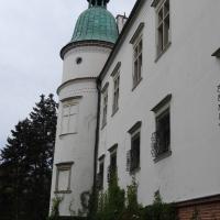 Baranów Sandomierski - zamek, Joanna