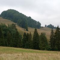 , mirosław