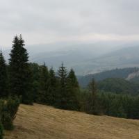 , mirosław