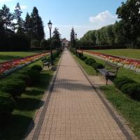 kwiaty, mirosław